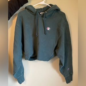 Champion Reverse Weave Cropped Hoodie